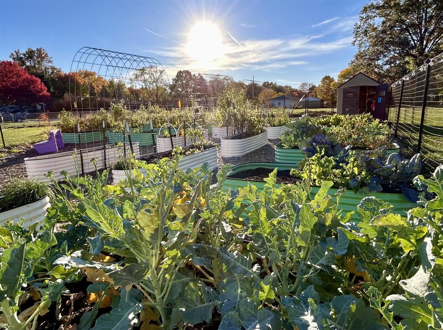  Salem Garden Photo